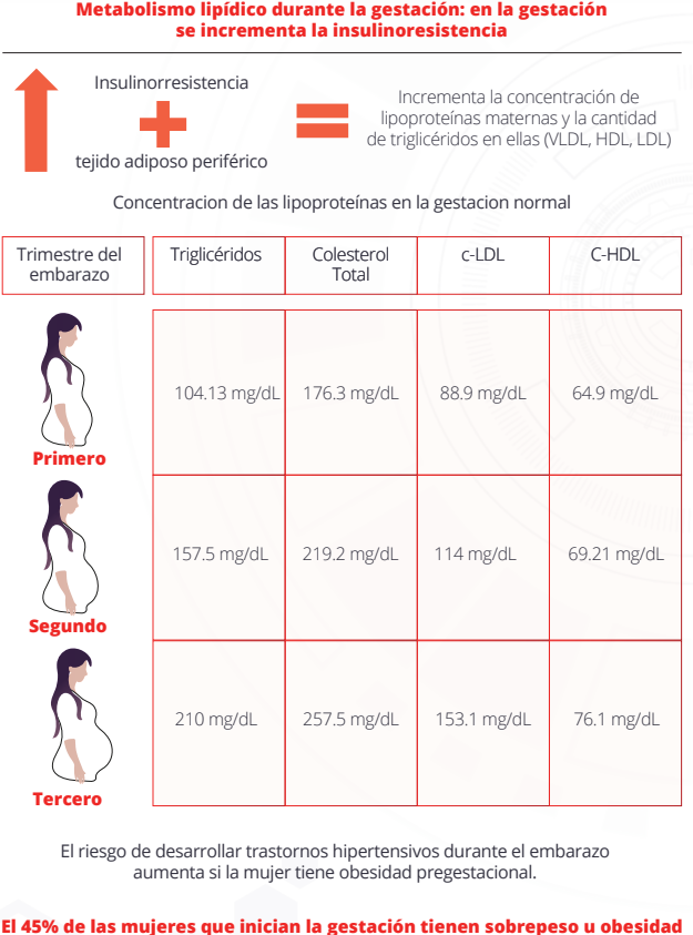 infografía