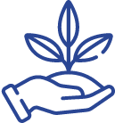 planta en mano
