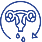 aparato reproductor femenino