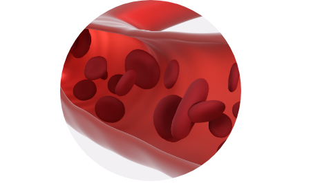 glóbulos rojos en sangre