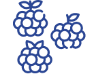 frambuesas