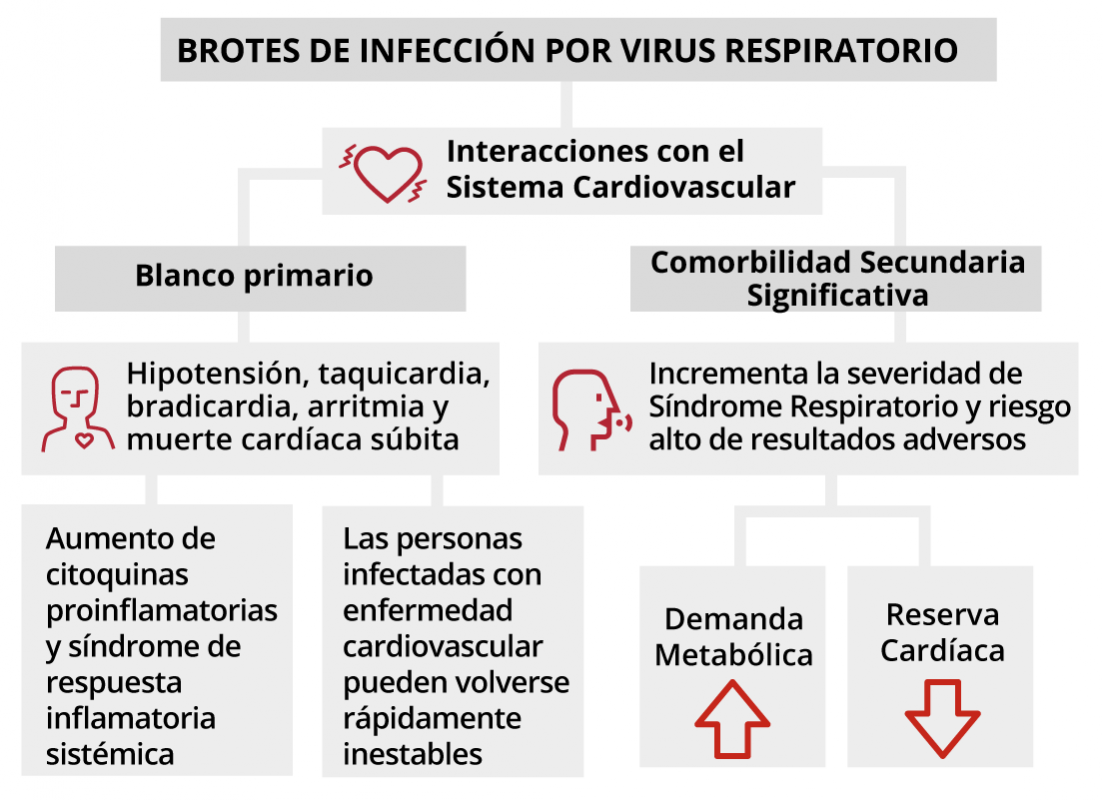Brotes de infección por virus respiratorio