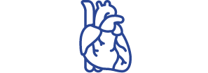 corazón