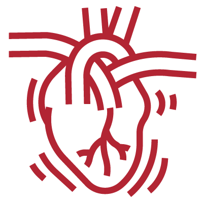 La enzima convertidora de angiotensina 2 (ACE2) que también se expresa en el corazón, proporcionando un vinculo entre los coronavirus y el sistema cardiovascular.