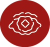vision dañada