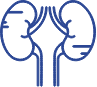 kidneys